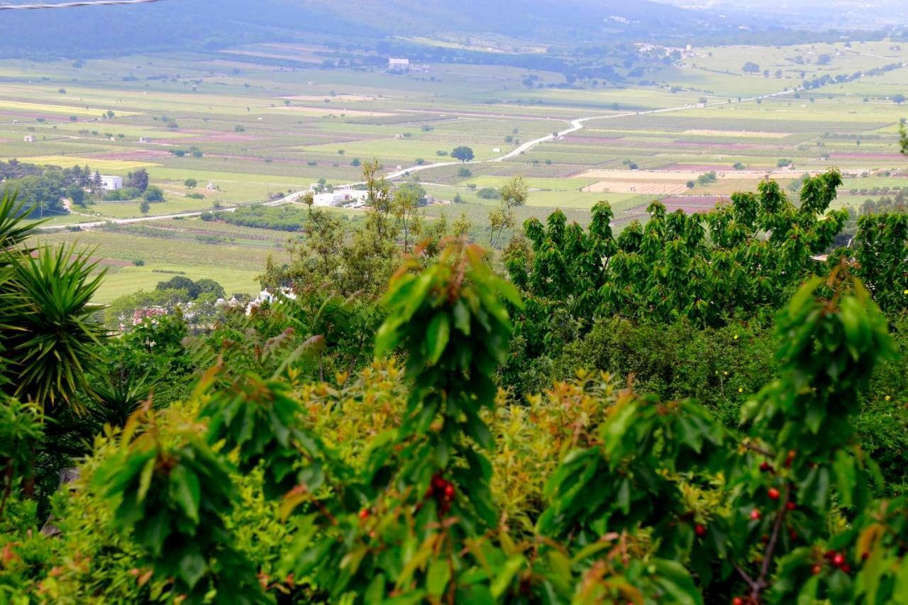 Villa Angelina Selva Di Fasano Bagian luar foto